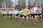 Senior Mens 2023 UK CAU Inter Counties Cross Country Champs, Prestwold Hall, Loughborough. Photo: David T. Hewitson/Sports for All Pics